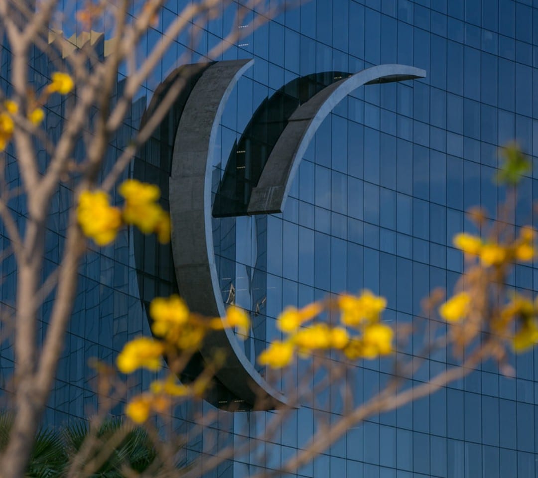 Fachada curva do Tribunal Superior do Trabalho vista entre os galhos de um ipê florido